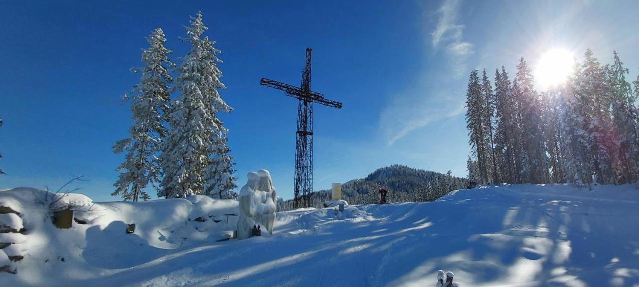 Michis Aparthotel Flachau Dış mekan fotoğraf