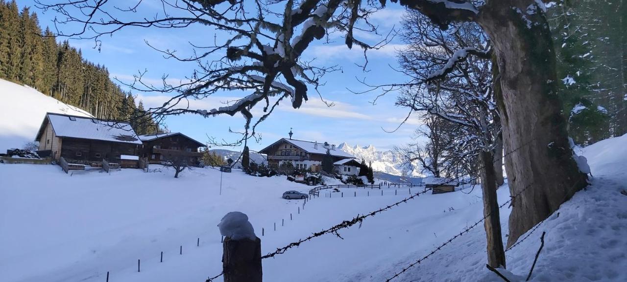 Michis Aparthotel Flachau Dış mekan fotoğraf
