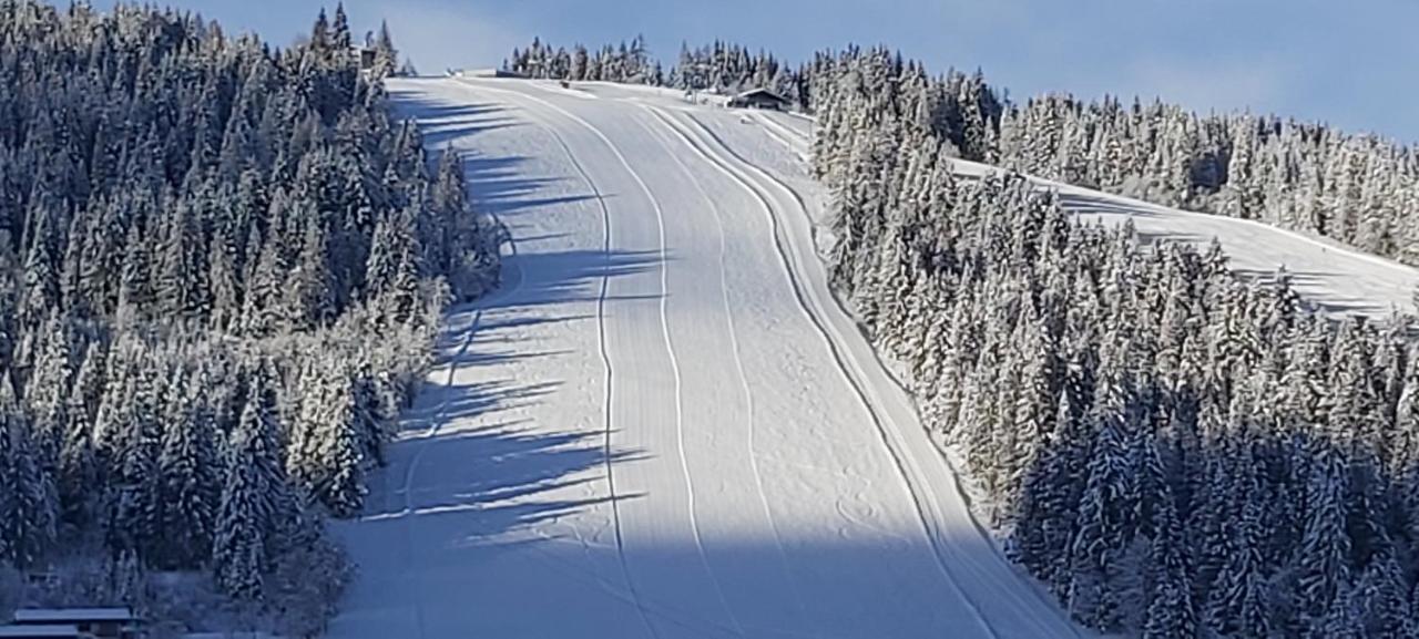 Michis Aparthotel Flachau Dış mekan fotoğraf