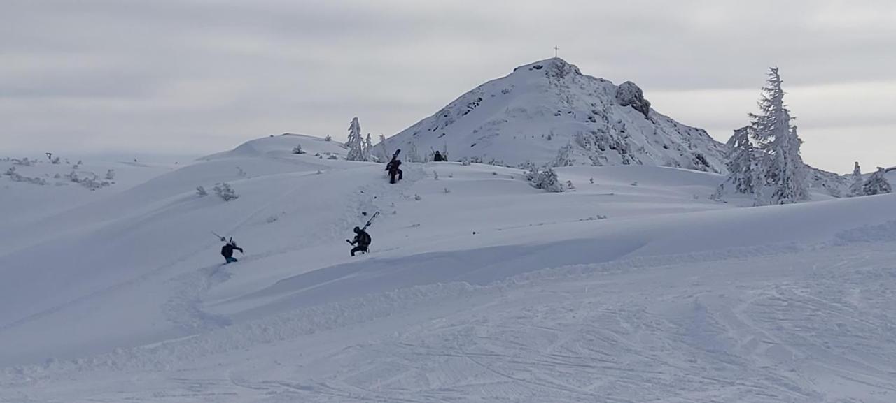 Michis Aparthotel Flachau Dış mekan fotoğraf