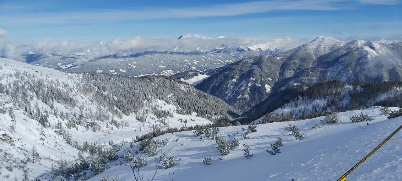 Michis Aparthotel Flachau Dış mekan fotoğraf