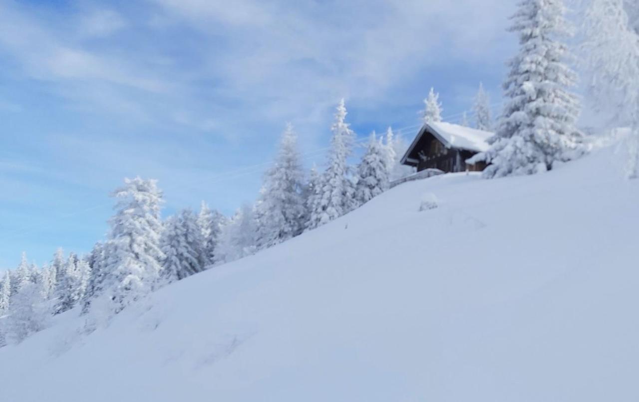 Michis Aparthotel Flachau Dış mekan fotoğraf