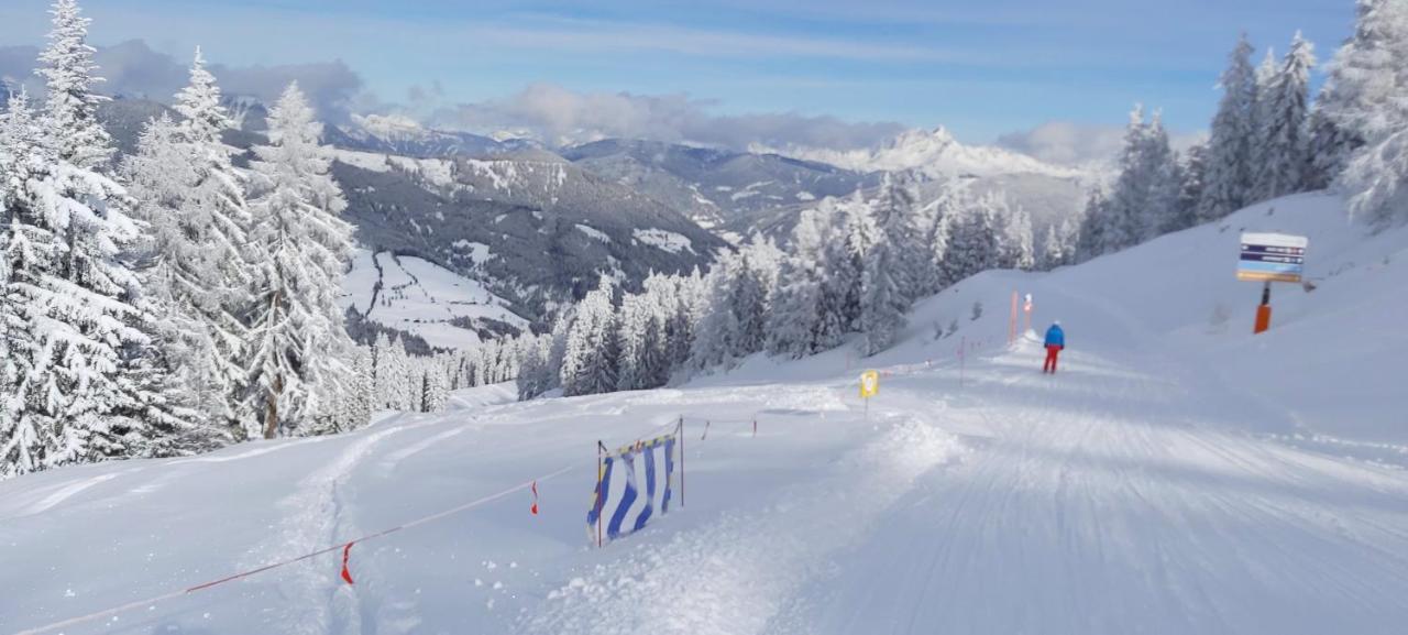 Michis Aparthotel Flachau Dış mekan fotoğraf